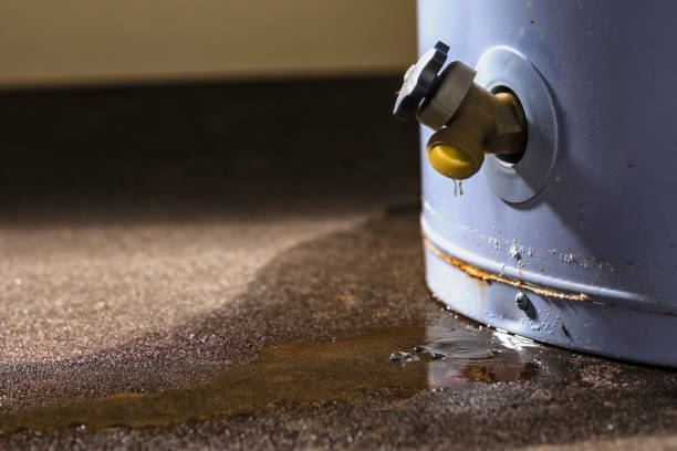 Best Professional water damage repair  in London, CA