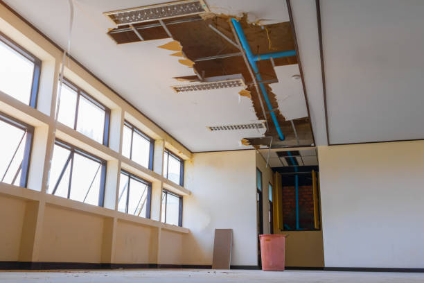 Best Flooded house restoration  in London, CA