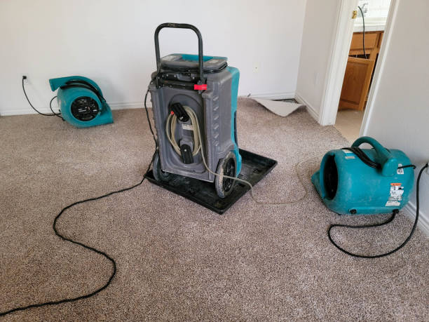 Best Emergency water damage restoration  in London, CA
