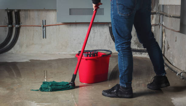 Best Sewage cleanup and water damage restoration  in London, CA