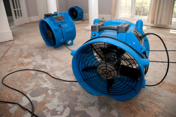 Best Water damage restoration insurance claims  in London, CA