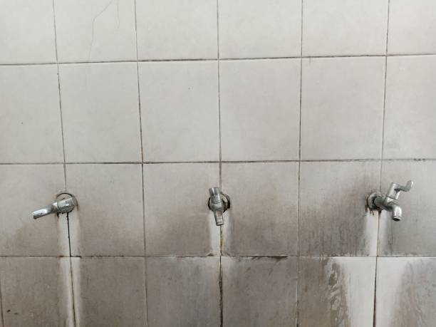Best Water damage restoration insurance claims  in London, CA